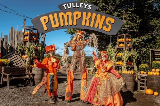 Tulleys Pumpkin Festival — photo 1