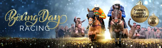 Boxing Day Racing at Fontwell Park