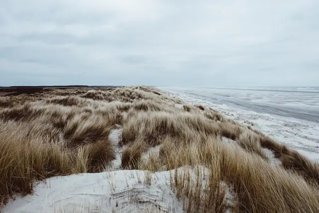 West Wittering Beach